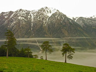 Similar image 21045536