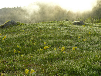 Similar image 21045537