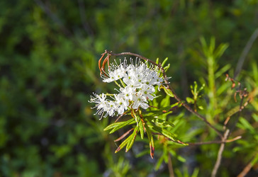 Similar image 21045542