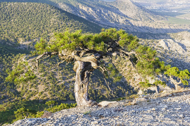 Similar image 21045406