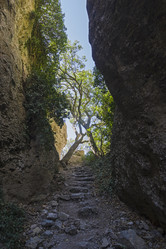 Similar image 21045408