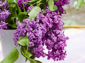 Similar image 21070202