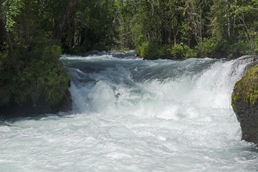 Similar image 21045413