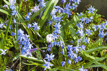 Similar image 21045548