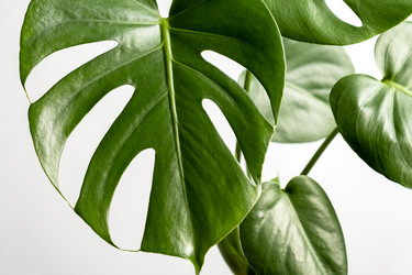 Similar image 21045296