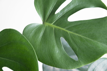 Similar image 21045300