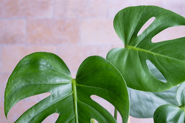 Similar image 21045301