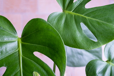 Similar image 21045302