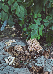 Similar image 21048037