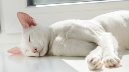 Similar image 21046575