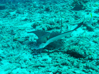 Similar image 21046578