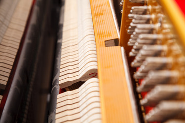 Similar image 21047921