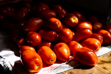 Similar image 21046580