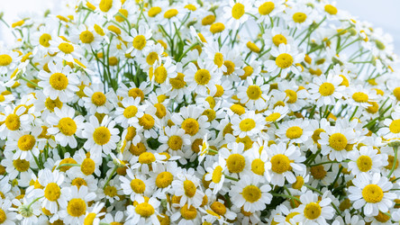 Similar image 21045975