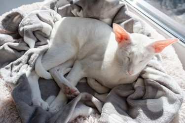 Similar image 21045976