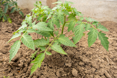 Similar image 21045978