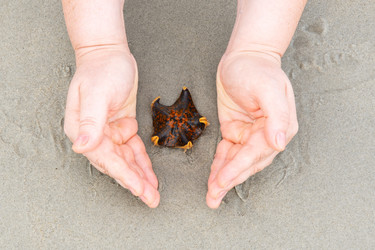 Similar image 21045980