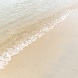 Similar image 21045981