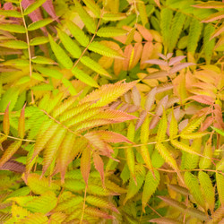 Similar image 21045983