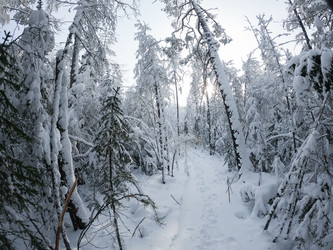 Similar image 21045988