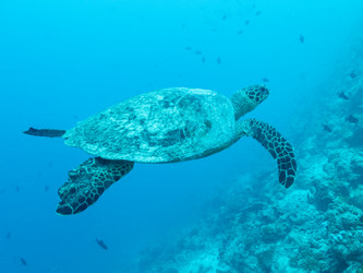 Similar image 21045991