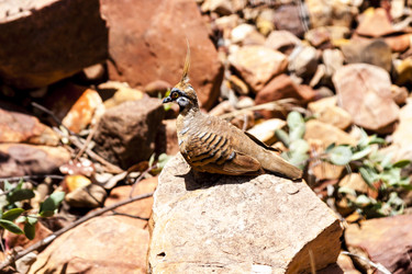 Similar image 21045994