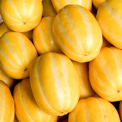 Similar image 21046633