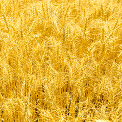 Similar image 21046635