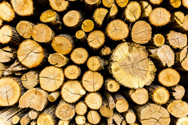 Similar image 21046636