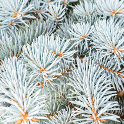 Similar image 21046642