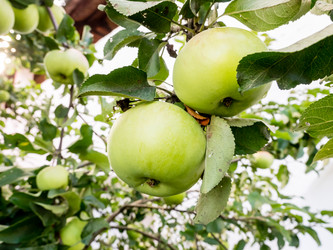 Similar image 21046643