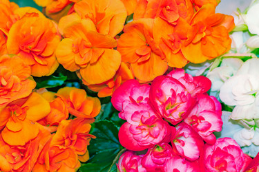 Similar image 21073208