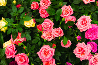 Similar image 21073209