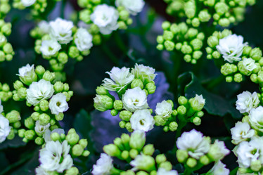 Similar image 21073210