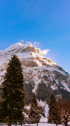 Similar image 21073232