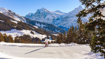 Similar image 21073237