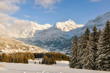 Similar image 21078759