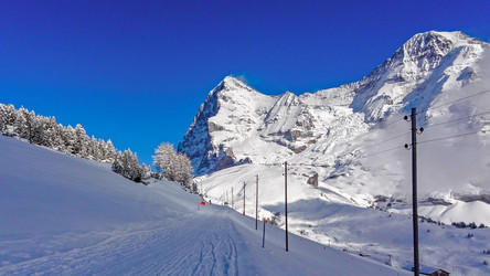 Similar image 21078767