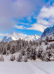 Similar image 21078772