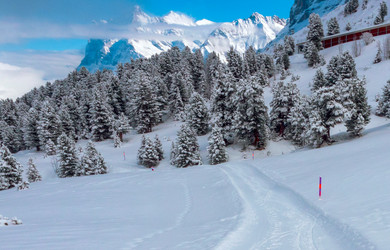 Similar image 21078773