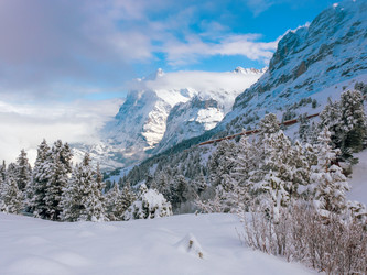 Similar image 21078775