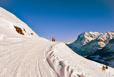 Similar image 21078795