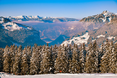 Similar image 21078796