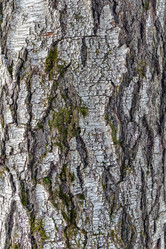 Similar image 21078800