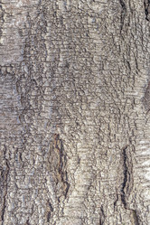 Similar image 21078801