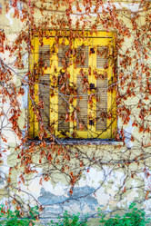 Similar image 21055869