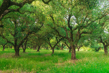 Similar image 21056196