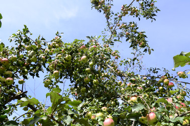 Similar image 21048075