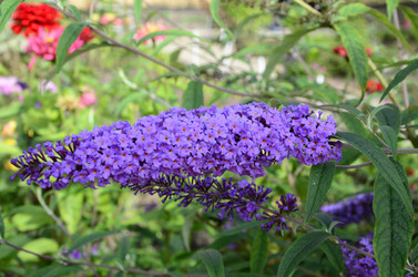 Similar image 21048076