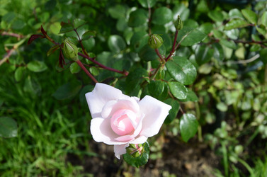 Similar image 21048077